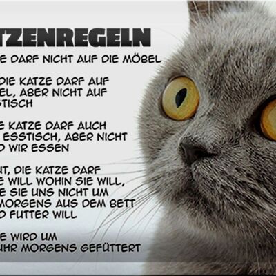 Blechschild Spruch 30x20cm Katzenregeln Katze darf nicht