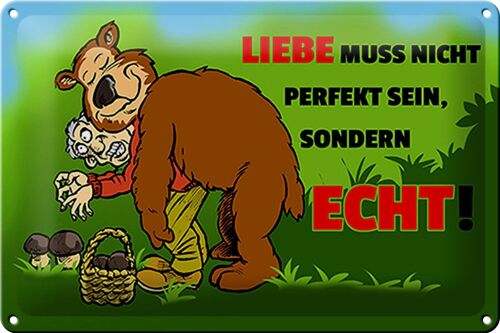 Blechschild Spruch 30x20cm Liebe nicht perfekt sondern echt sein