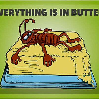 Blechschild Spruch 30x20cm Everything in butter Kakerlake