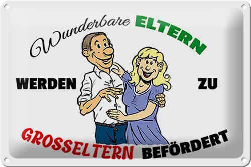 Blechschild Spruch 30x20cm wunderbare Eltern werden Großeltern