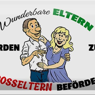 Blechschild Spruch 30x20cm wunderbare Eltern werden Großeltern