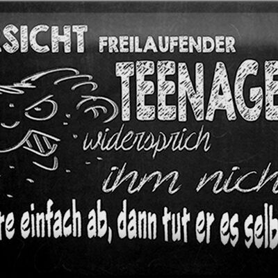 Blechschild Spruch 30x20cm Vorsicht freilaufender Teenager