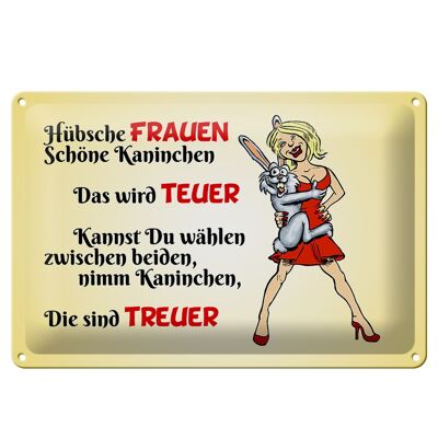 Blechschild Spruch 30x20cm Hübsche Frauen schöne Kaninchen