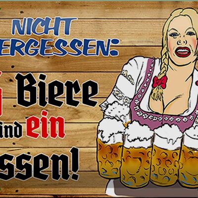 Blechschild 30x20cm 6 Biere sind ein Essen