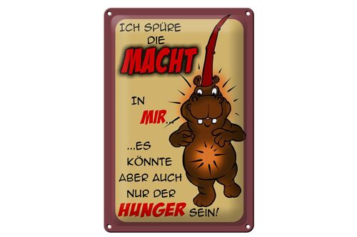 Blechschild Spruch 20x30cm Ich spüre die Macht in mir