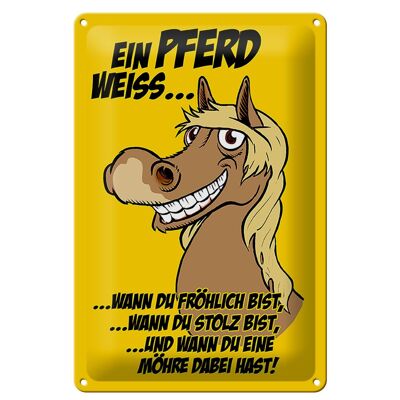 Blechschild Spruch 20x30cm Ein Pferd weiss wann fröhlich