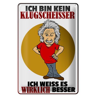 Blechschild Spruch 20x30cm ich bin kein Klugscheisser