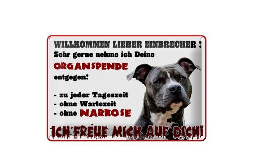 Blechschild Warnschild 30x20cm Willkommen lieber Einbrecher