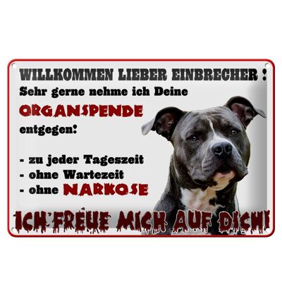 Blechschild Warnschild 30x20cm Willkommen lieber Einbrecher