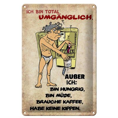 Blechschild Spruch 20x30cm bin total umgänglich außer