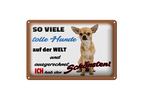 Blechschild Spruch 30x20cm ich hab den schönsten Hund