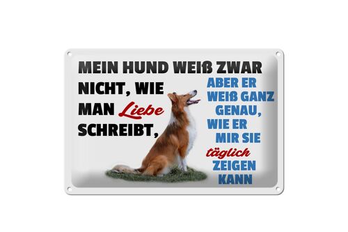 Blechschild Spruch 30x20cm mein Hund weiß zwar Hundeliebe