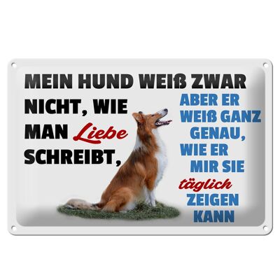 Blechschild Spruch 30x20cm mein Hund weiß zwar Hundeliebe