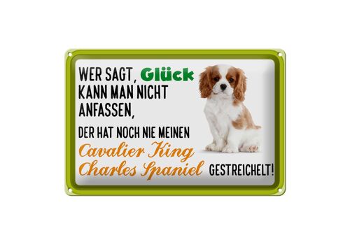 Blechschild Spruch 30x20cm Cavalier King Charles Spaniel