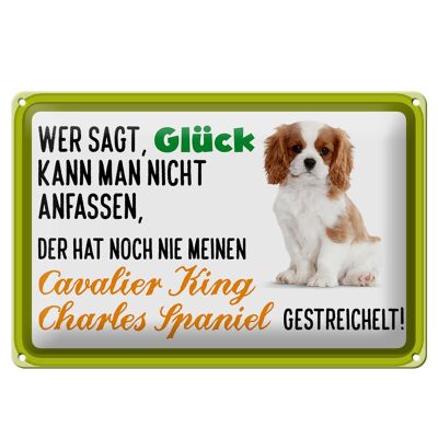 Blechschild Spruch 30x20cm Cavalier King Charles Spaniel