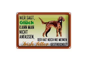 Plaque en étain disant 30x20cm Chien Setter Irlandais Chanceux 1