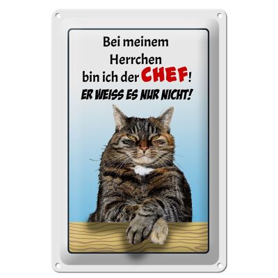 Blechschild Spruch 20x30cm Katze bei meinem Herrchen Chef