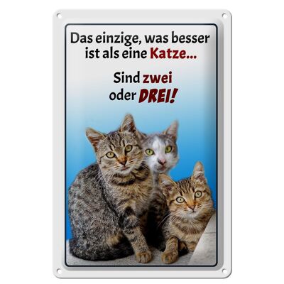 Blechschild Spruch 20x30cm einzige was besser ist als Katze