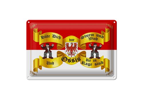 Blechschild Spruch 30x20cm hüte dich vor Sturm Ossis Wanddeko