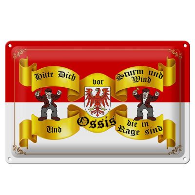 Blechschild Spruch 30x20cm hüte dich vor Sturm Ossis Wanddeko