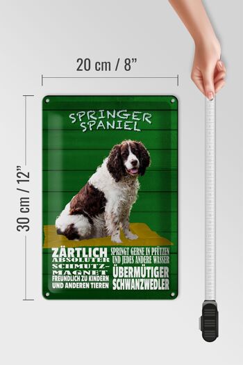 Panneau en étain indiquant 20x30cm Springer Spaniel chien tendre 4