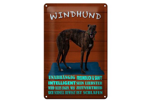 Blechschild Spruch 20x30cm Windhund Hund intelligent sanft