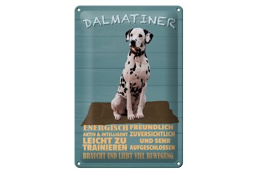 Blechschild Spruch 20x30cm Dalmatiner Hund energisch aktiv