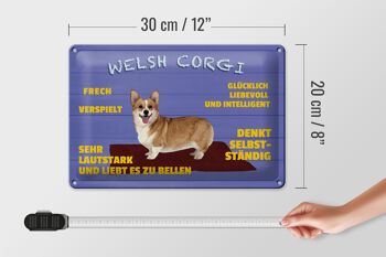 Panneau en étain disant 30x20cm Welsh Corgi chien effronté et ludique 4