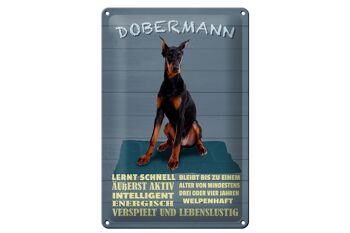 Plaque en tôle indiquant 20x30 cm Doberman apprend rapidement à être un chien 1