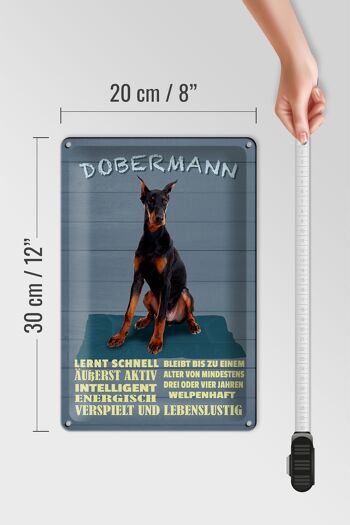Plaque en tôle indiquant 20x30 cm Doberman apprend rapidement à être un chien 4