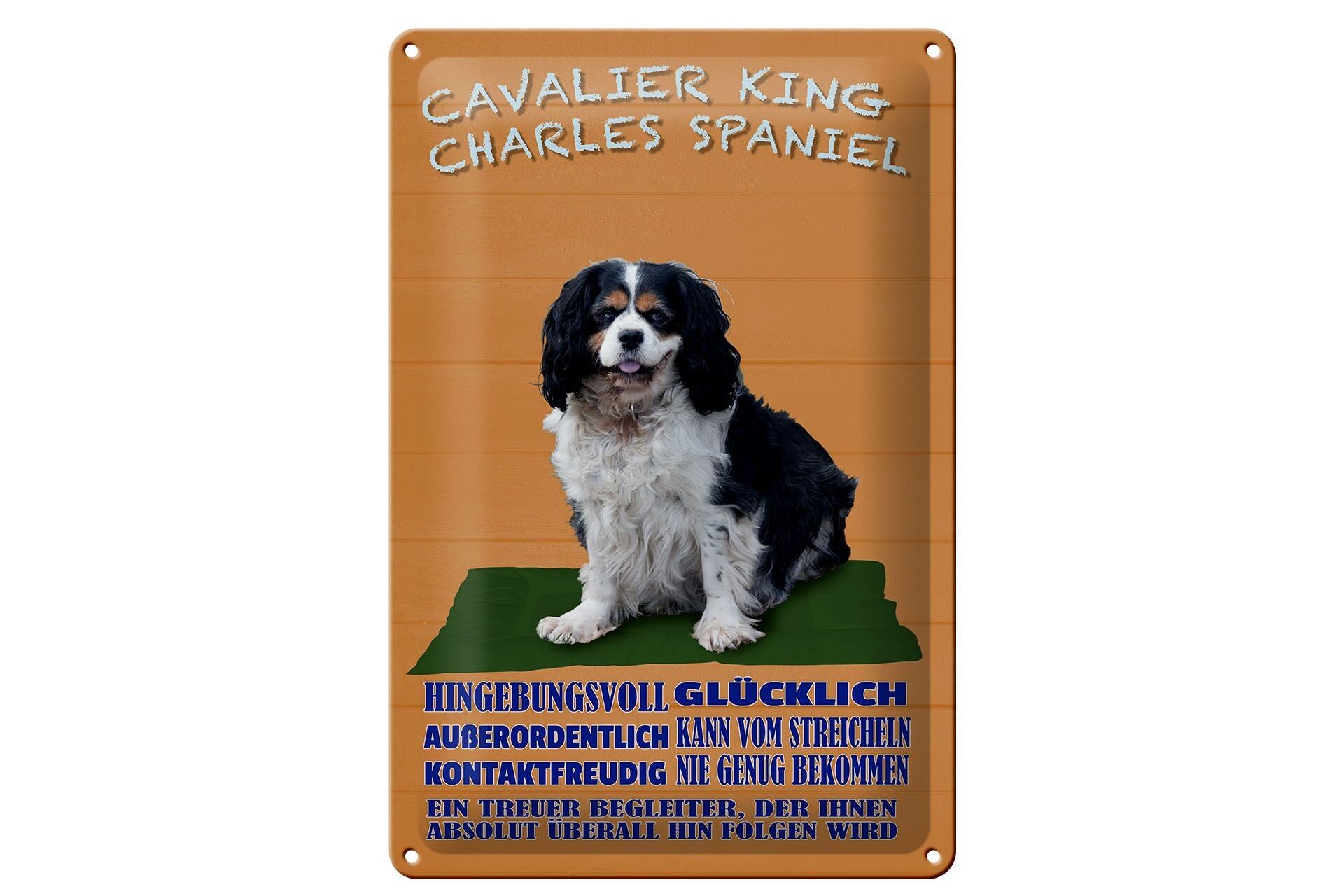 Metal sign dog 20x30cm Cavalier King Charles Spaniel