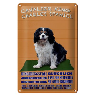 Targa in metallo cane 20x30 cm Cavalier King Charles Spaniel