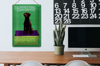 Plaque en tôle disant 20x30cm Labrador Chocolate Dog Allemand 3