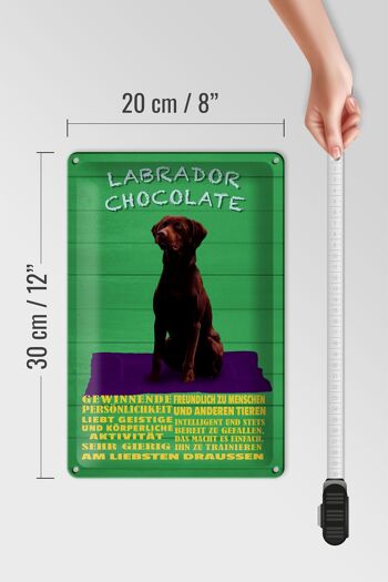 Plaque en tôle disant 20x30cm Labrador Chocolate Dog Allemand 4