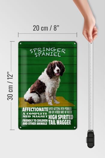 Panneau en étain indiquant 20x30 cm Springer Spaniel chien amical 4