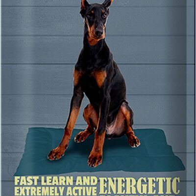 Cartel de chapa que dice 20x30cm perro Doberman aprende rápido y