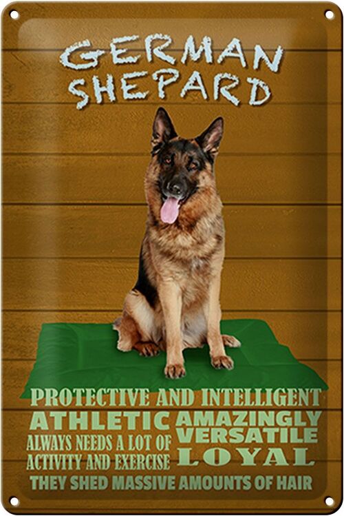 Blechschild Spruch 20x30cm German Shepard Hund athletic