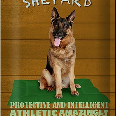 Blechschild Spruch 20x30cm German Shepard Hund athletic