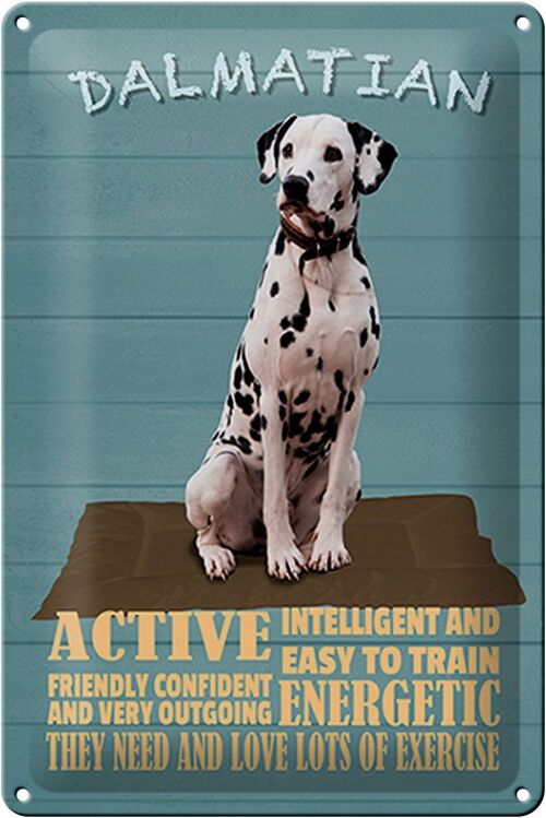 Blechschild Spruch 20x30cm Dalmatian Hund active and easy