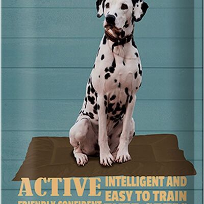 Cartel de chapa con texto "Perro dálmata activo y fácil" 20x30 cm.