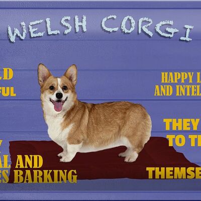 Blechschild Spruch 30x20cm Welsh Corgi Hund bold playful