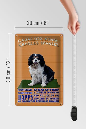 Plaque en étain disant 20x30cm Cavalier King Charles Spaniel 4