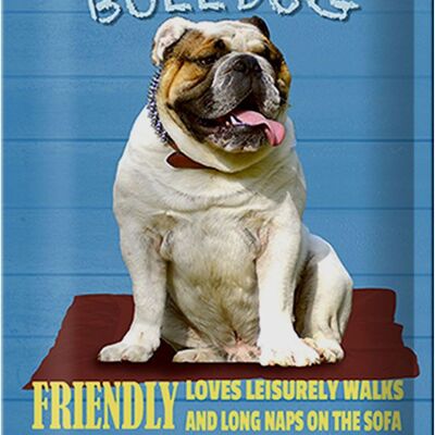 Blechschild Spruch 20x30cm English Bulldog Hund friendly