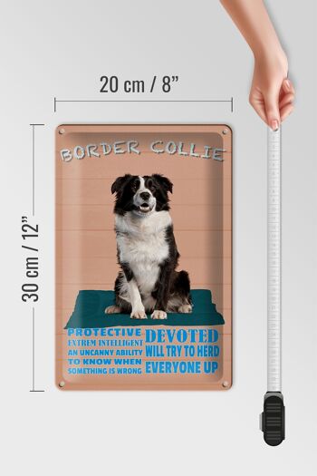 Plaque en étain indiquant 20x30cm Protection du chien Border Collie 4