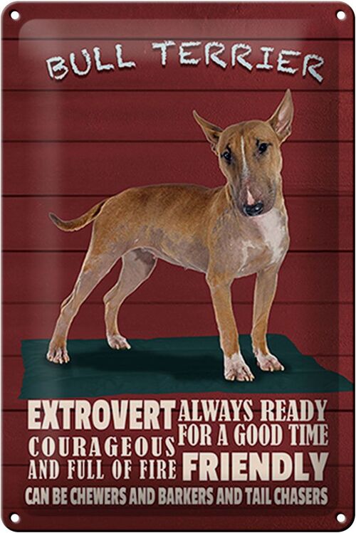 Blechschild Spruch 20x30cm Bullterrier Hund always ready