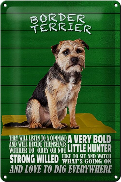 Blechschild Spruch 20x30cm Border Terrier Hund a very bold