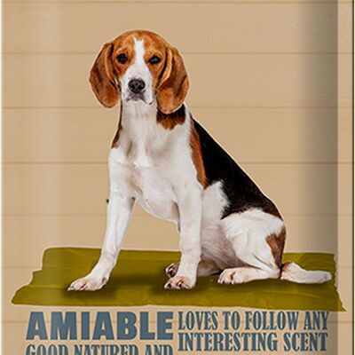 Letrero de chapa que dice "Al perro Beagle le encanta seguir a cualquiera" 20x30 cm
