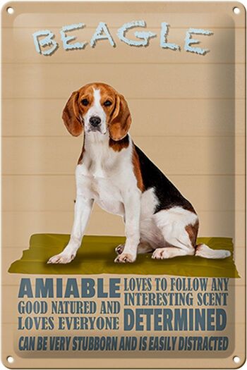 Panneau en étain indiquant que le chien Beagle aime suivre n'importe qui, 20x30 cm 1