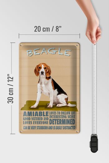 Panneau en étain indiquant que le chien Beagle aime suivre n'importe qui, 20x30 cm 4