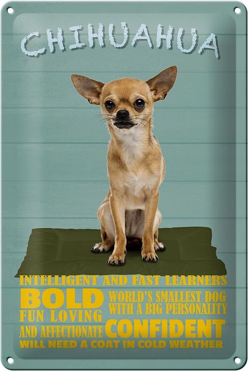 Blechschild Spruch 20x30cm Chihuahua Hund bold confident